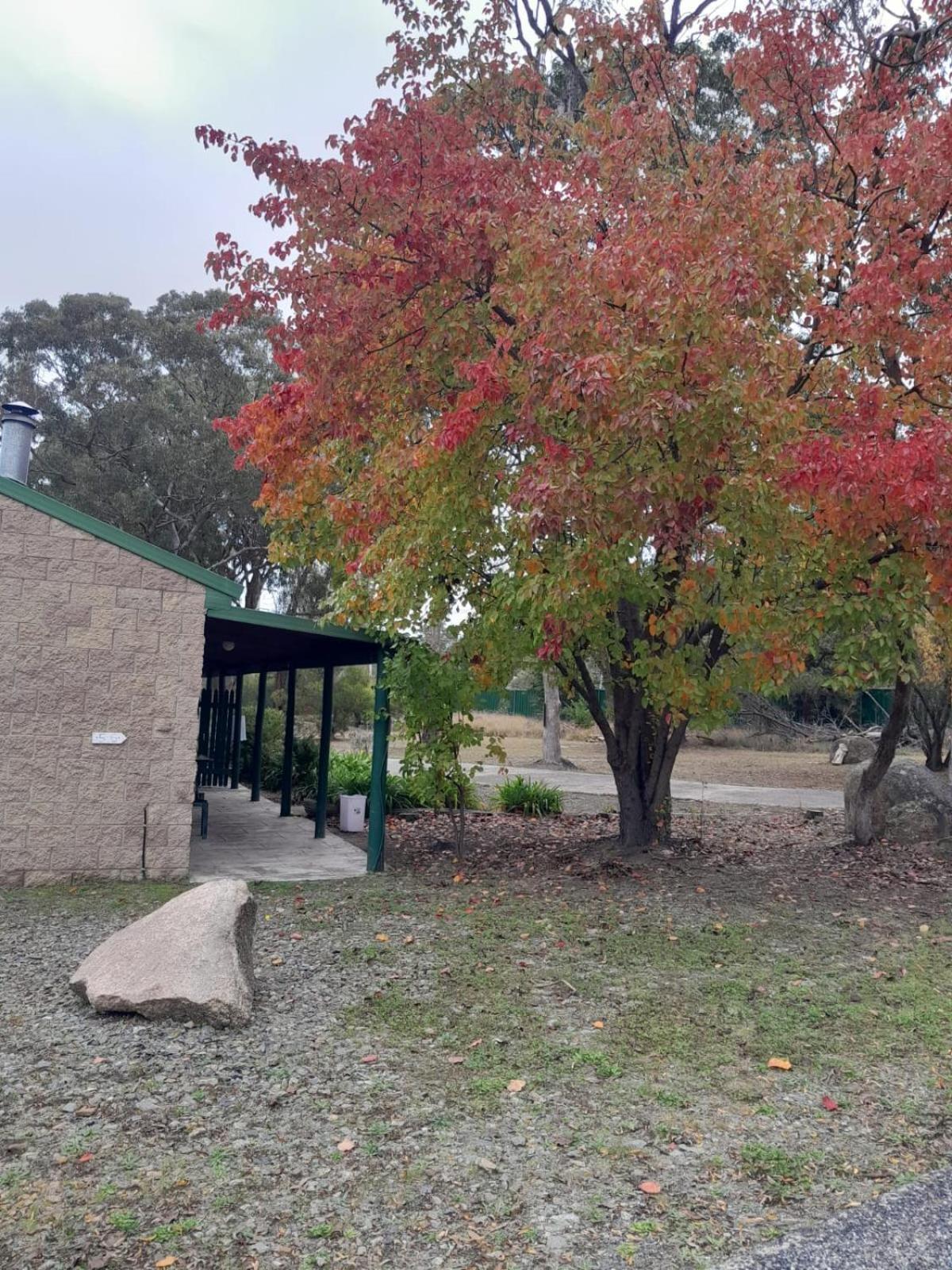 Murray Gardens Motel Stanthorpe Esterno foto
